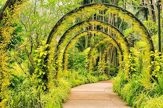 Archway of yellow orchids from Singapore National Orchid Garden