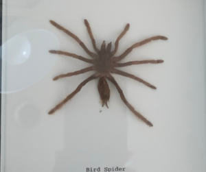 This Is What To Do When Bad Things Sprout Legs by @MConnollyAuthor #legs #bad #things 