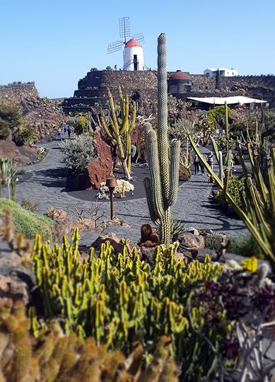 merilin-taimre-paljas-porgand-lanzarote-kanaari-saared-reis-roomet-poom-blogi-vlog