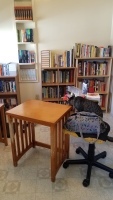 Moderately tidy kitchen with bookshelves and cat