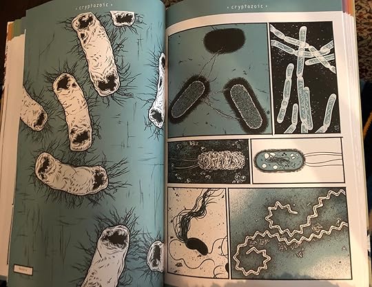 Commercial Photography