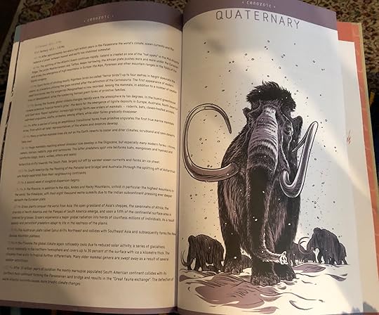 Commercial Photography