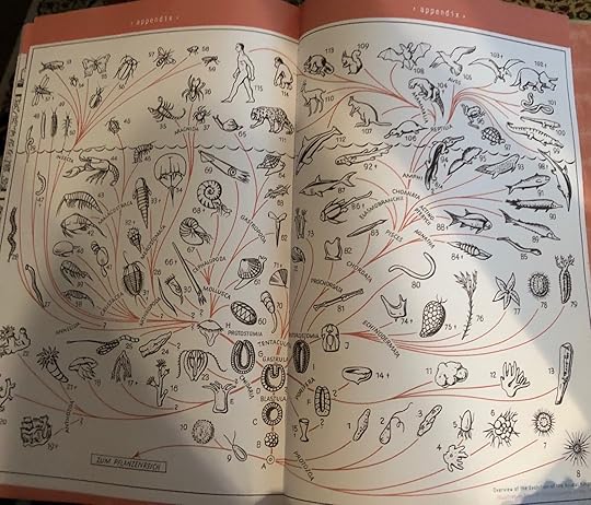 Commercial Photography