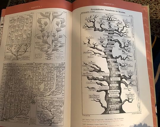 Commercial Photography