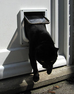 Cat flap
