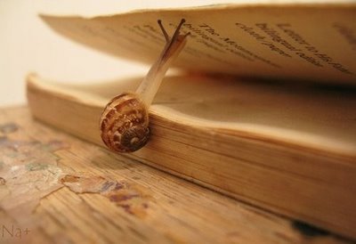 photo SlowReading_zpsvird1pyx.jpg