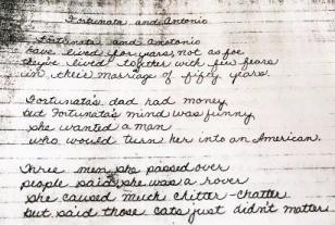 Family writer, what does it mean to be your family's writer, family history, trip itineraries, genealogy, writing stories, family memoir 