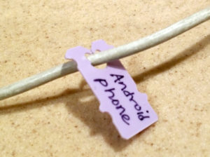 Guest Post: Running from the Plastic Phantoms One Bold Step at a Time