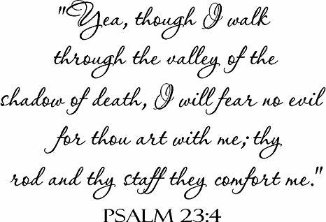 Image result for and though i walk through the valley of the shadow of death quote images
