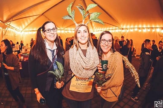 Rock Star Beer Festivals