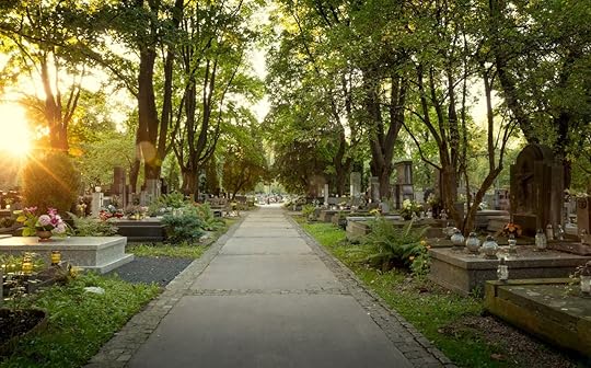 Old Polish cemetery under trees