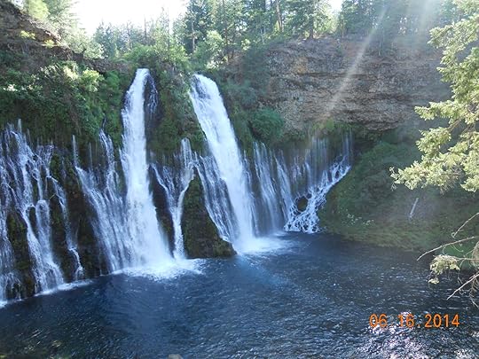 Image and video hosting by TinyPic