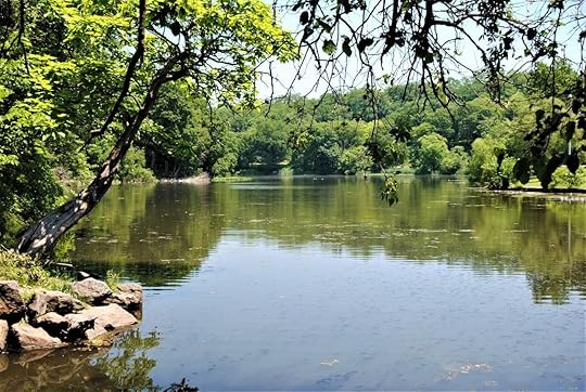 Van Cortlandt Park, New York