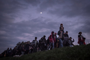 MIGRANTS-articleLarge