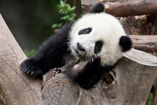 By Robin Van Auken on Volunteer Forever