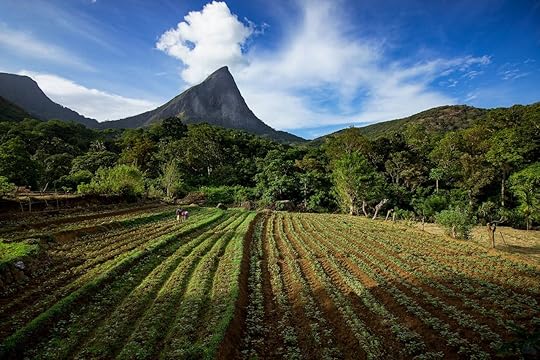 Lakegala Meenure Sri Lanka