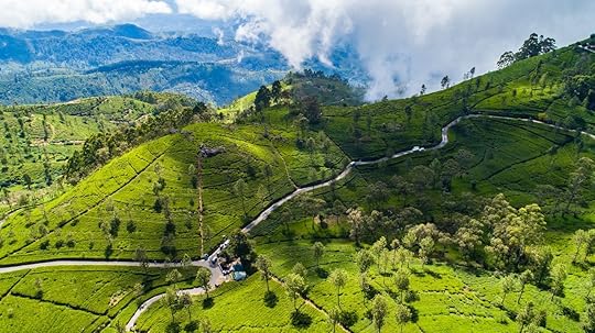 Famous green tea plantation landscape view from Lipton's Seat, Haputale, Sri Lanka