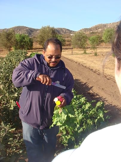 Organic Garden at The Ranch, with Salvadore