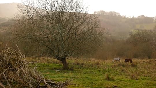 Ponies on the Commons 2