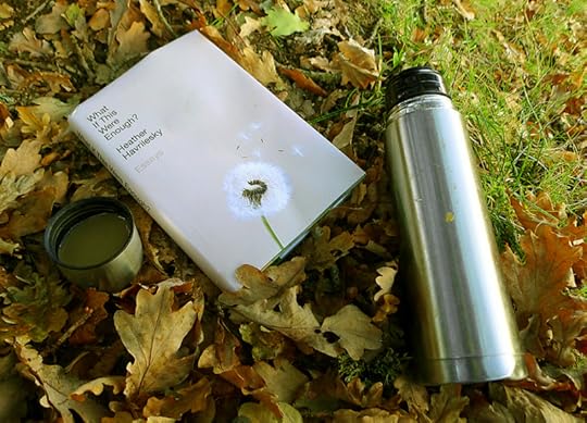 What if This Were Enough by Heather Havrikesky