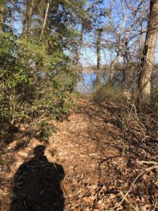 Accountable is Mindful