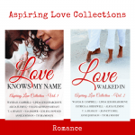 AspiringLove 2