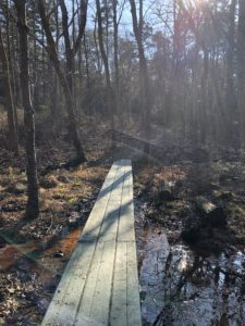 Responsible and Accountable