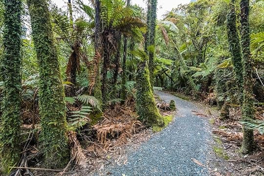 Porarari river track near Punakaiki on the West Coast, South Island, New Zealand