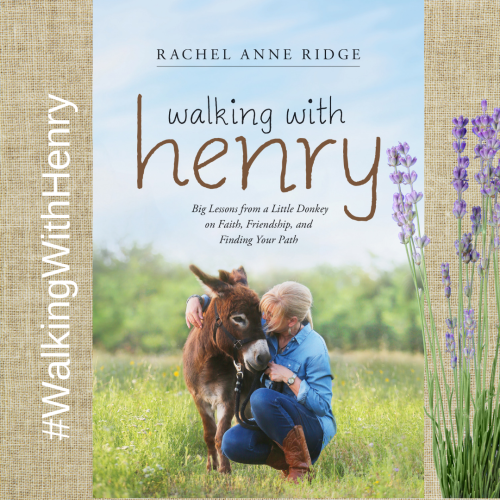 Walking With Henry
