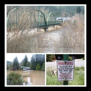 photos of 2006 flood