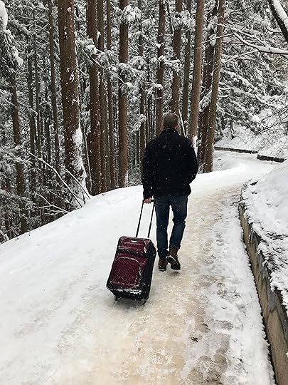 2JAPANsnowmonkeys copy