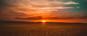 Sunrise or Sunset? Sarah Price ponders Daylight Savings