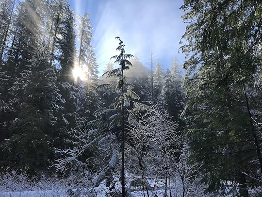 Dosewallips trail in Olympic National Park