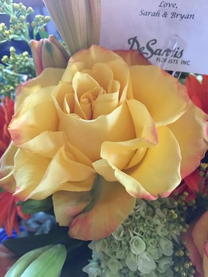 A gorgeous rose from the bouquet my brother and sister in law sent me, celebrating the book!