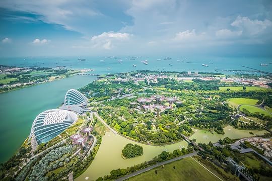 Aerial view of Super Trees at Gardens by the Bay