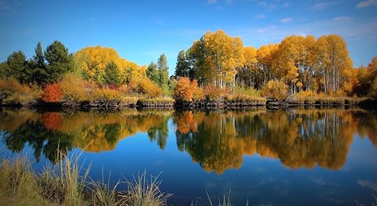 Fall Aspen Trees Turning at Dillon Falls in Bend, Oregon