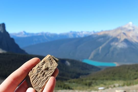 Hand holding a up of a trilobite fossil in a rock, at the Burgess Shale in the Rocky Mountains