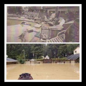 photos of 2019 Russian River flood
