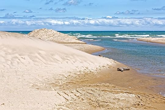 Indiana Dunes National Lakeshore is a National Park on Lake Michigan's south shore