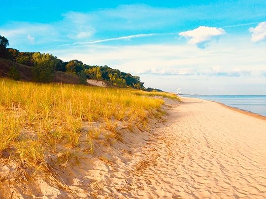 Golden Beachfront, Indiana Dunes