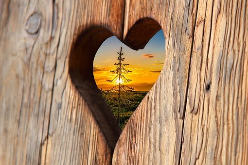 heart-2041866__340 (1).jpg