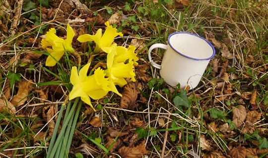 Picking wild daffs