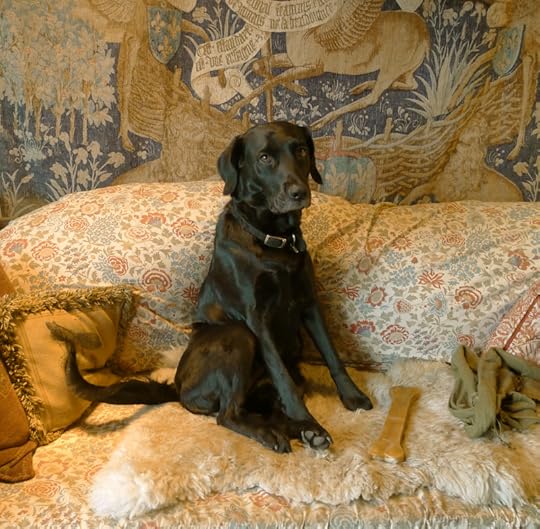 Studio Muse with Bone