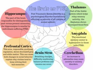 Your brain on PTSD #RachelThompson @RachelinthOC This Is What Abuse Survivors Can Learn From Triggers
