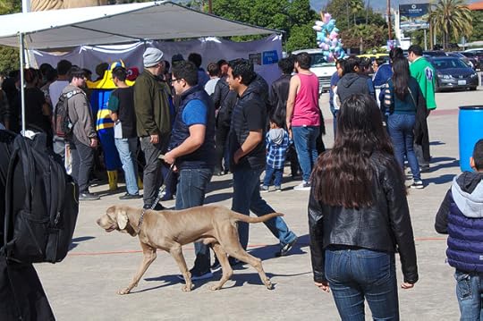 Gente paseando a su perro