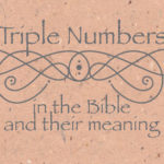 Number meaning