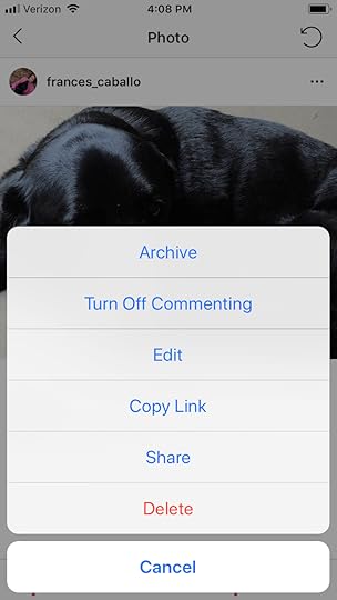 Instagram for authors