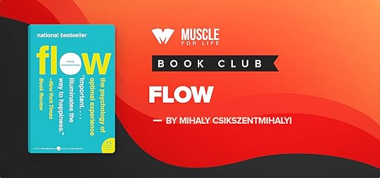 flow book review featured