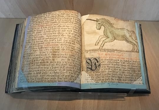 Unicorn book at Culture House, Reykjavik