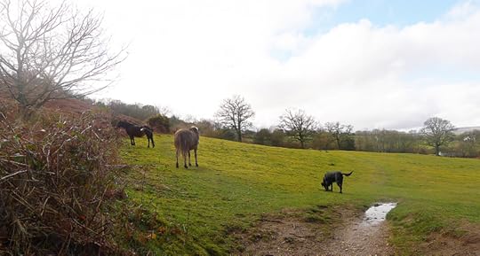 Ponies on the Commons